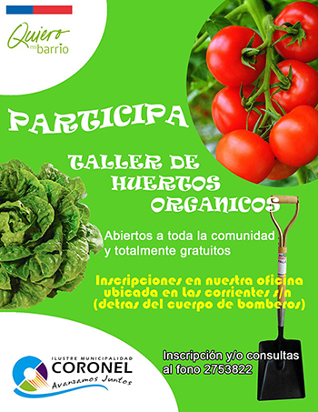 Taller de huerta Comunidad_